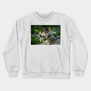 Gray Wolf Crewneck Sweatshirt